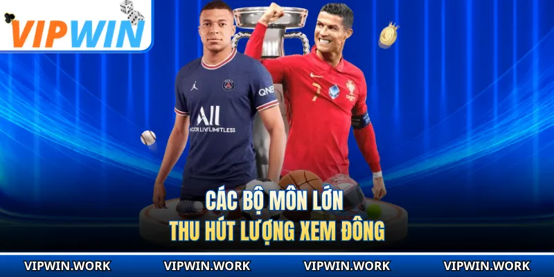 Các bộ môn lớn thu hút lượng xem đông
