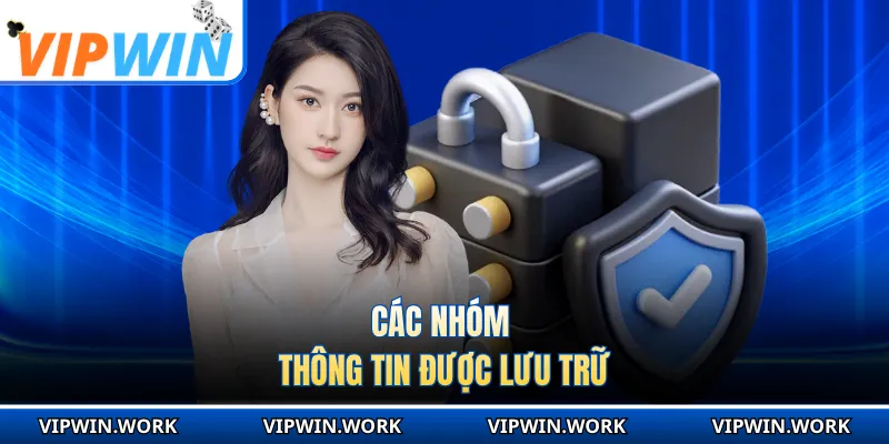 Các nhóm thông tin được lưu trữ