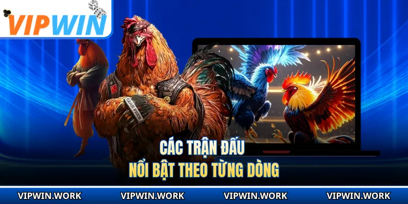 Các trận đấu nổi bật theo từng dòng
