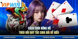 Cách Chơi Rồng Hổ - Theo Dõi Quy Tắc Chia Bài Dễ Hiểu