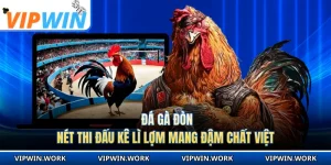 Đá Gà Đòn - Nét Thi Đấu Kê Lì Lợm Mang Đậm Chất Việt
