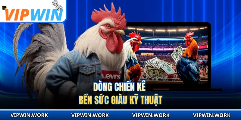 Dòng chiến kê bền sức giàu kỹ thuật