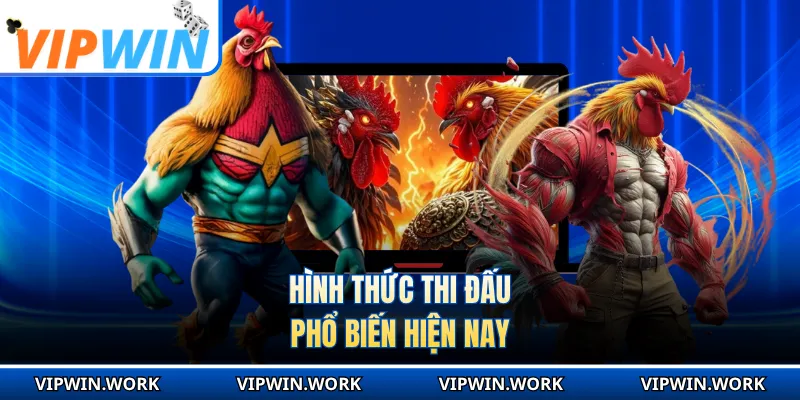 Hình thức thi đấu phổ biến hiện nay