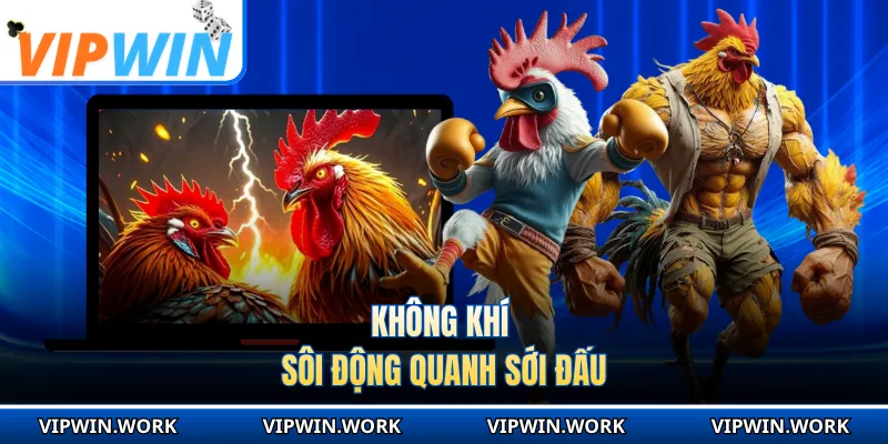 Không khí sôi động quanh sới đấu