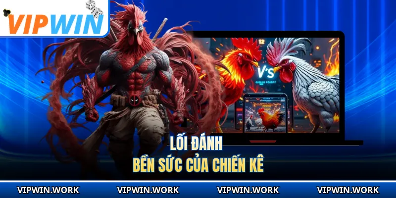 Lối đánh bền sức của chiến kê