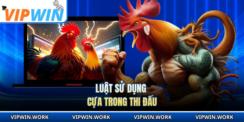 Luật sử dụng cựa trong thi đấu