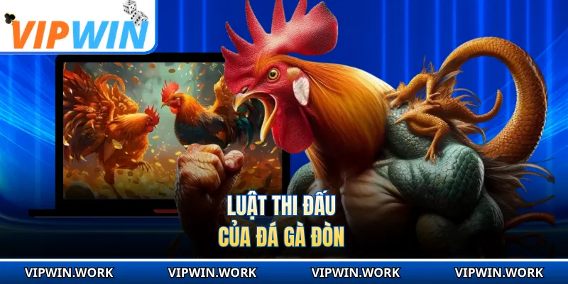Luật thi đấu của đá gà đòn