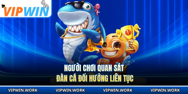 Người chơi quan sát đàn cá đổi hướng liên tục