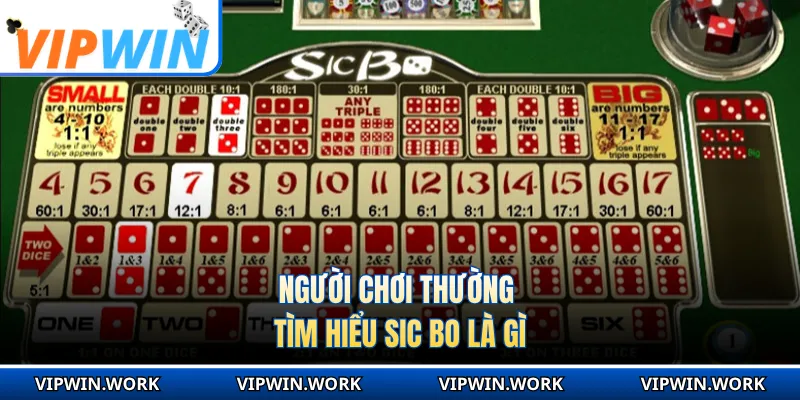 Người chơi thường tìm hiểu sic bo là gì