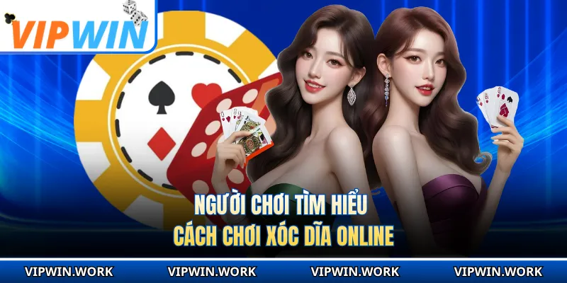 Người chơi tìm hiểu cách chơi xóc dĩa online