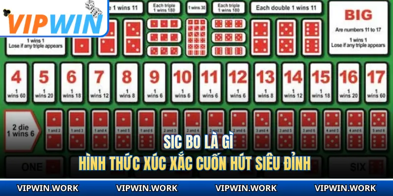 Sic Bo Là Gì - Hình Thức Xúc Xắc Cuốn Hút Siêu Đỉnh