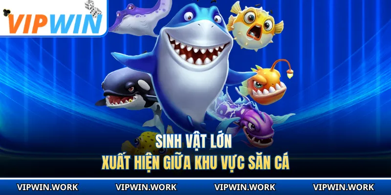 Sinh vật lớn xuất hiện giữa khu vực săn cá