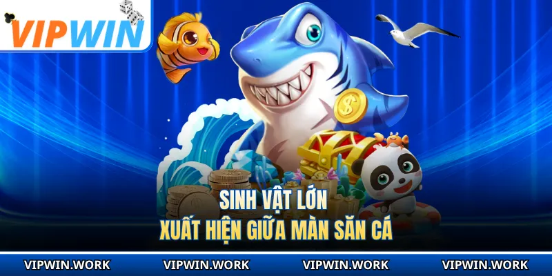 Sinh vật lớn xuất hiện giữa màn săn cá