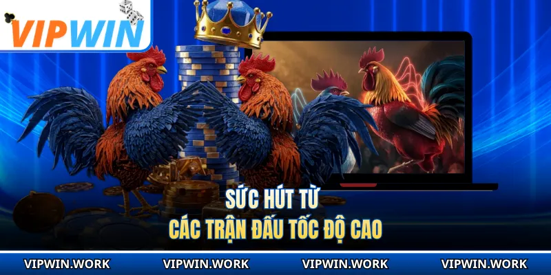 Sức hút từ các trận đấu tốc độ cao