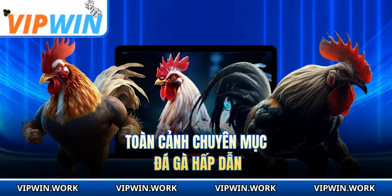 Toàn cảnh chuyên mục đá gà hấp dẫn
